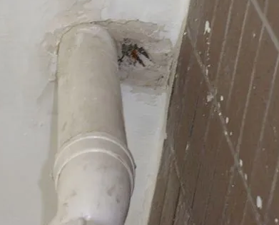 岚皋漏水检测哪家好