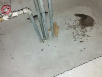岚皋卫生间测漏水价格明细